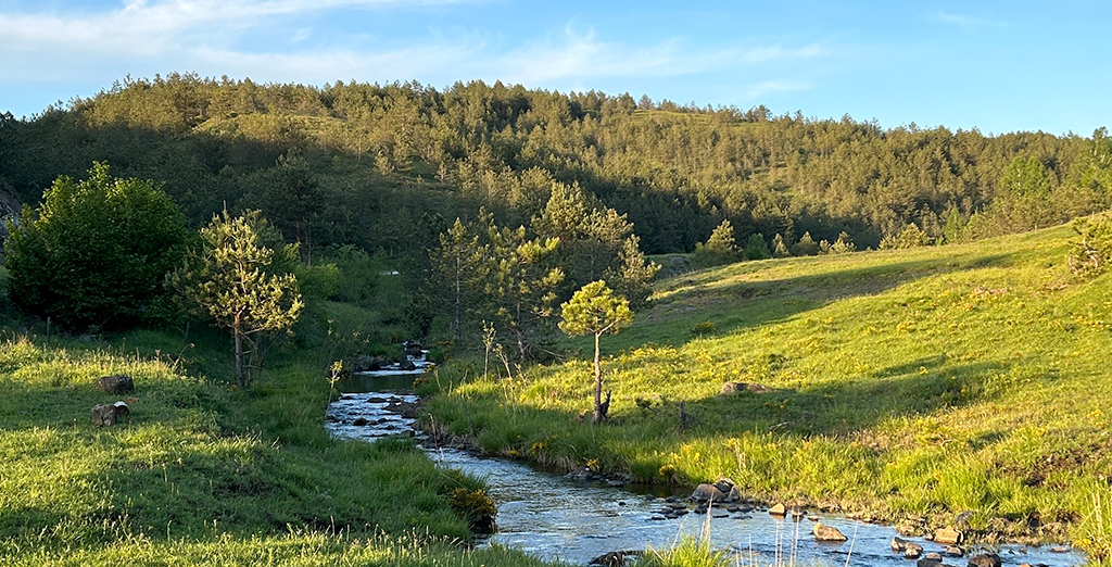 Priroda na Zlatiboru